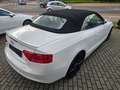 Audi A5 Cabriolet 2.0 TDI S-Line Ex*NAvi*R-Kam*Alcant Weiß - thumbnail 12