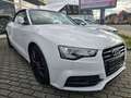 Audi A5 Cabriolet 2.0 TDI S-Line Ex*NAvi*R-Kam*Alcant Weiß - thumbnail 3