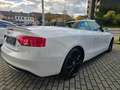Audi A5 Cabriolet 2.0 TDI S-Line Ex*NAvi*R-Kam*Alcant Weiß - thumbnail 24