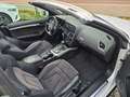 Audi A5 Cabriolet 2.0 TDI S-Line Ex*NAvi*R-Kam*Alcant Weiß - thumbnail 40