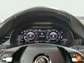 Skoda Kamiq 1.0 TSI 81kW (110CV) DSG Ambition Blanc - thumbnail 15