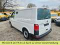 Volkswagen T6 Transporter T6 Auto/ DSG Bott Sortimo Stdhzg Behindertenger. Weiß - thumbnail 12