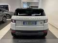Land Rover Range Rover Evoque 5p 2.0 ed4 pure 150cv Weiß - thumbnail 5