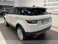 Land Rover Range Rover Evoque 5p 2.0 ed4 pure 150cv Wit - thumbnail 6