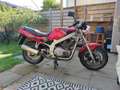 Suzuki GS 500 Rood - thumbnail 1