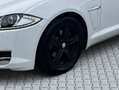 Jaguar XF 2,2 Diesel Luxury Blanco - thumbnail 8