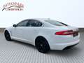 Jaguar XF 2,2 Diesel Luxury Blanco - thumbnail 5