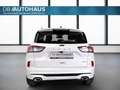 Ford Kuga ST-Line 2.5 DuraTec PHEV Weiß - thumbnail 5