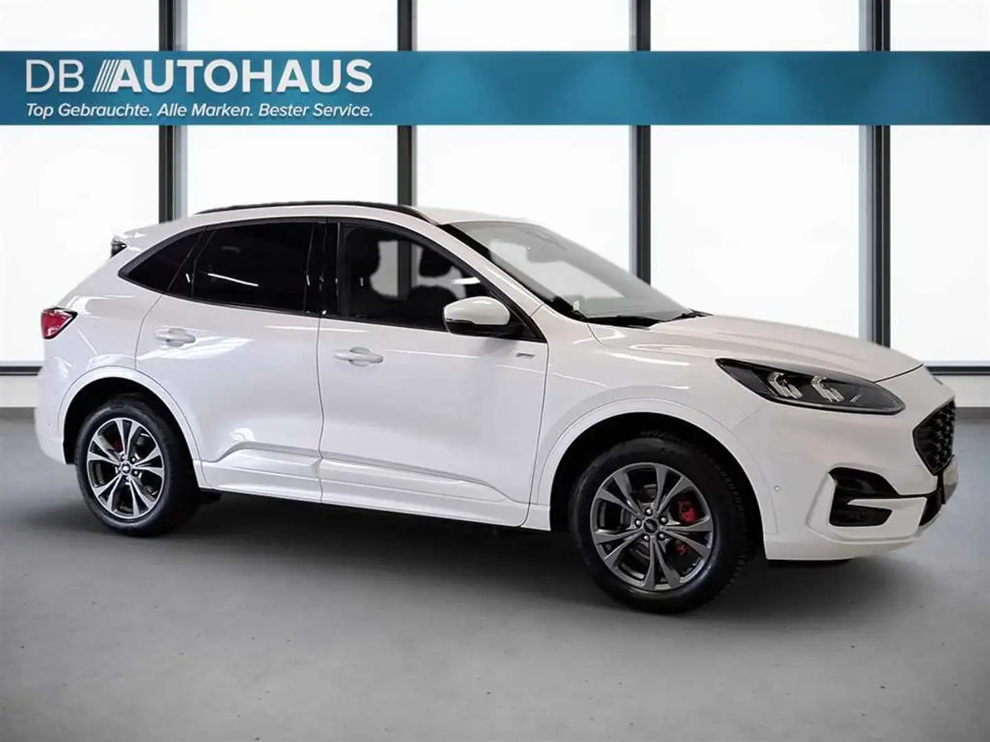 Ford Kuga ST-Line 2.5 DuraTec PHEV Weiß - 2