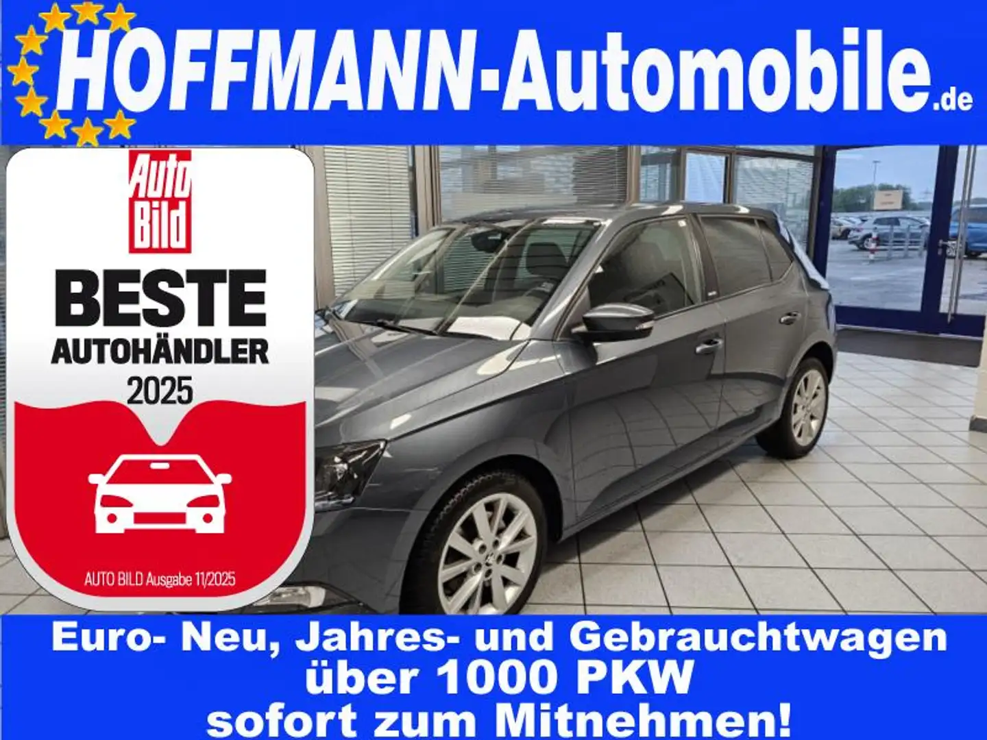 Skoda Fabia Style Navi,PDC,Sitzheizung,Allwetterreifen Grau - 1