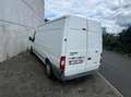 Ford Transit Transit 260 K TDCi Lkw Basis Blanc - thumbnail 3