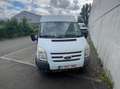 Ford Transit Transit 260 K TDCi Lkw Basis Blanc - thumbnail 5