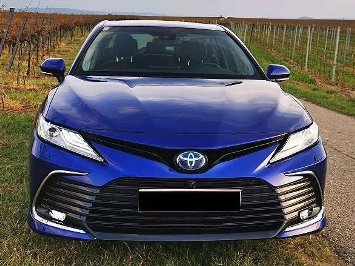 Toyota Camry Camry 2,5 Hybrid VIP Aut. VIP Azul - 2