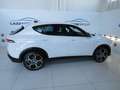 Alfa Romeo Tonale 1.6 diesel 130 CV TCT6 Veloce Bianco - thumbnail 6