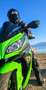 Kawasaki Ninja 300 Verde - thumbnail 9