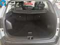 Kia Sportage 1.6 T-GDi MHEV Drive 150 - thumbnail 7