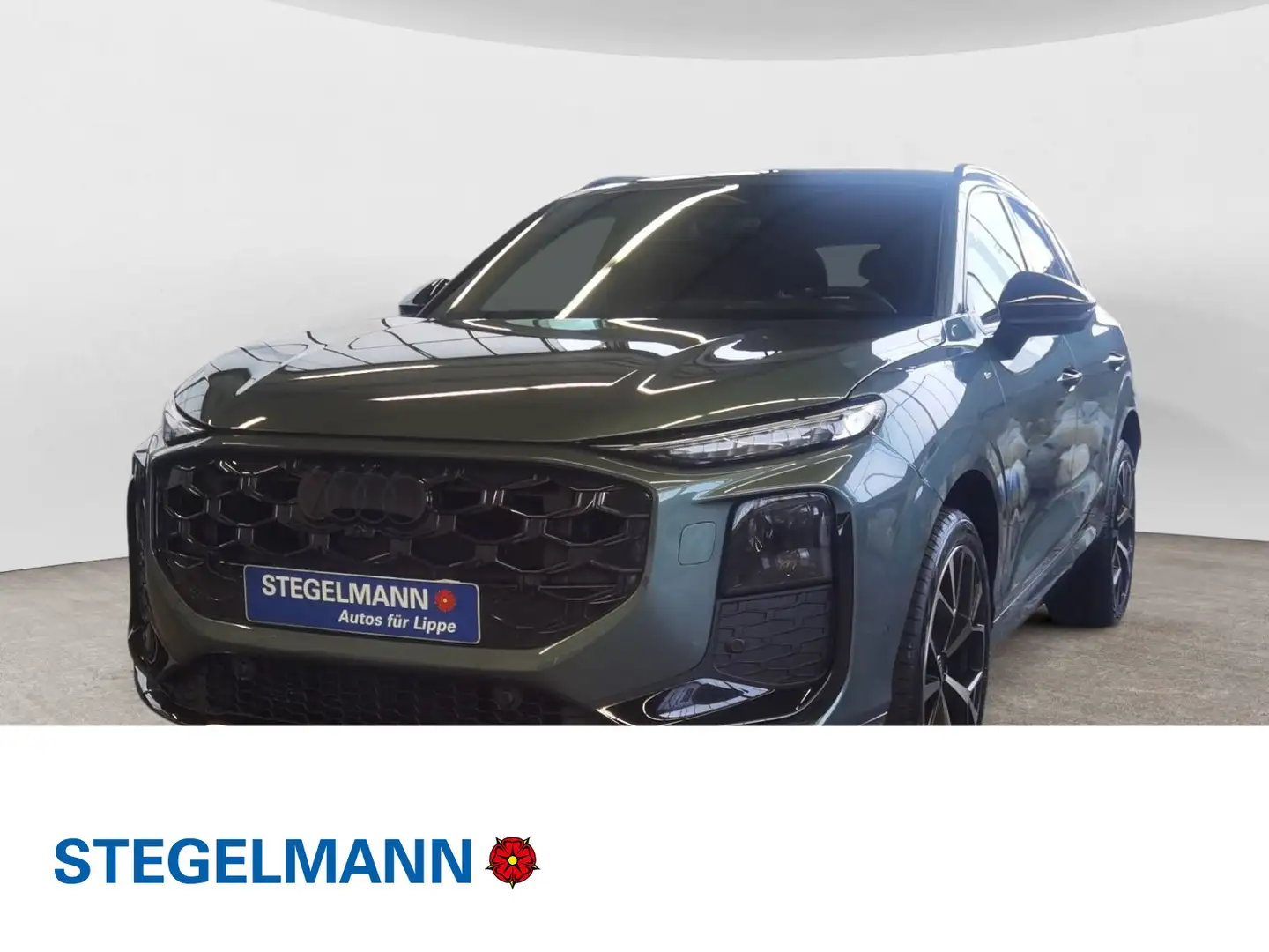 Audi Q3 SUV TFSI S tronic MMI+ PANO AHK MATRIX LED PA Grün - 1