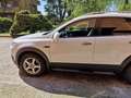 Chevrolet Captiva Captiva 2.2 LTZ 184cv auto Bianco - thumbnail 4
