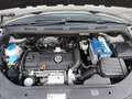 Volkswagen Golf Plus Comfortline 1,4 TSI*Neues Pickerl*Kam* Beige - thumbnail 28
