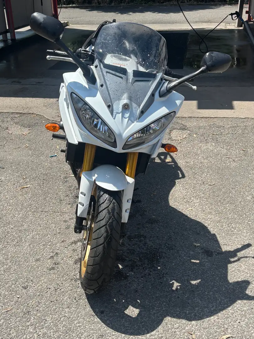 Yamaha FZ 8 Bianco - 2
