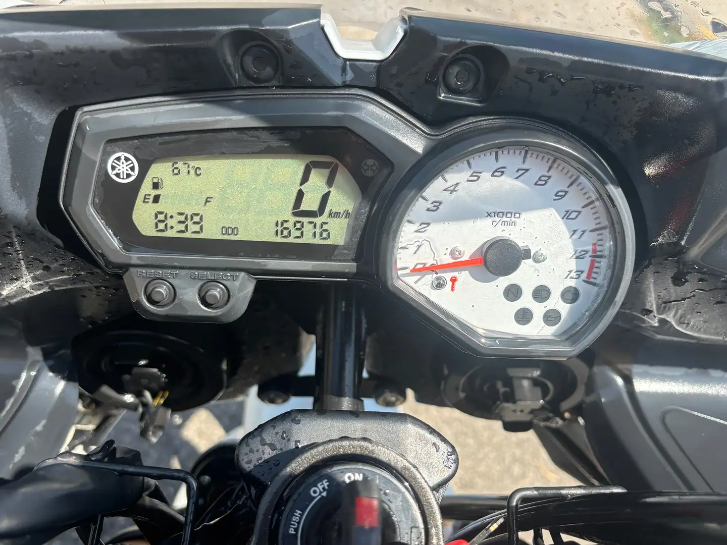 Yamaha FZ 8 Bianco - 1