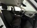 Ford Galaxy 2,0 EcoBlue Trend Aut. Weiß - thumbnail 12