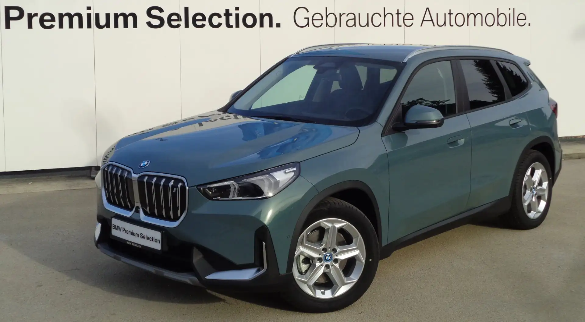 BMW iX1 iX1 xDrive30 Vert - 1