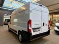 Fiat Ducato 2.3 D L2H2 3-SITZER 3,0t 1.HAND Weiß - thumbnail 7
