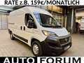 Fiat Ducato 2.3 D L2H2 3-SITZER 3,0t 1.HAND Weiß - thumbnail 1