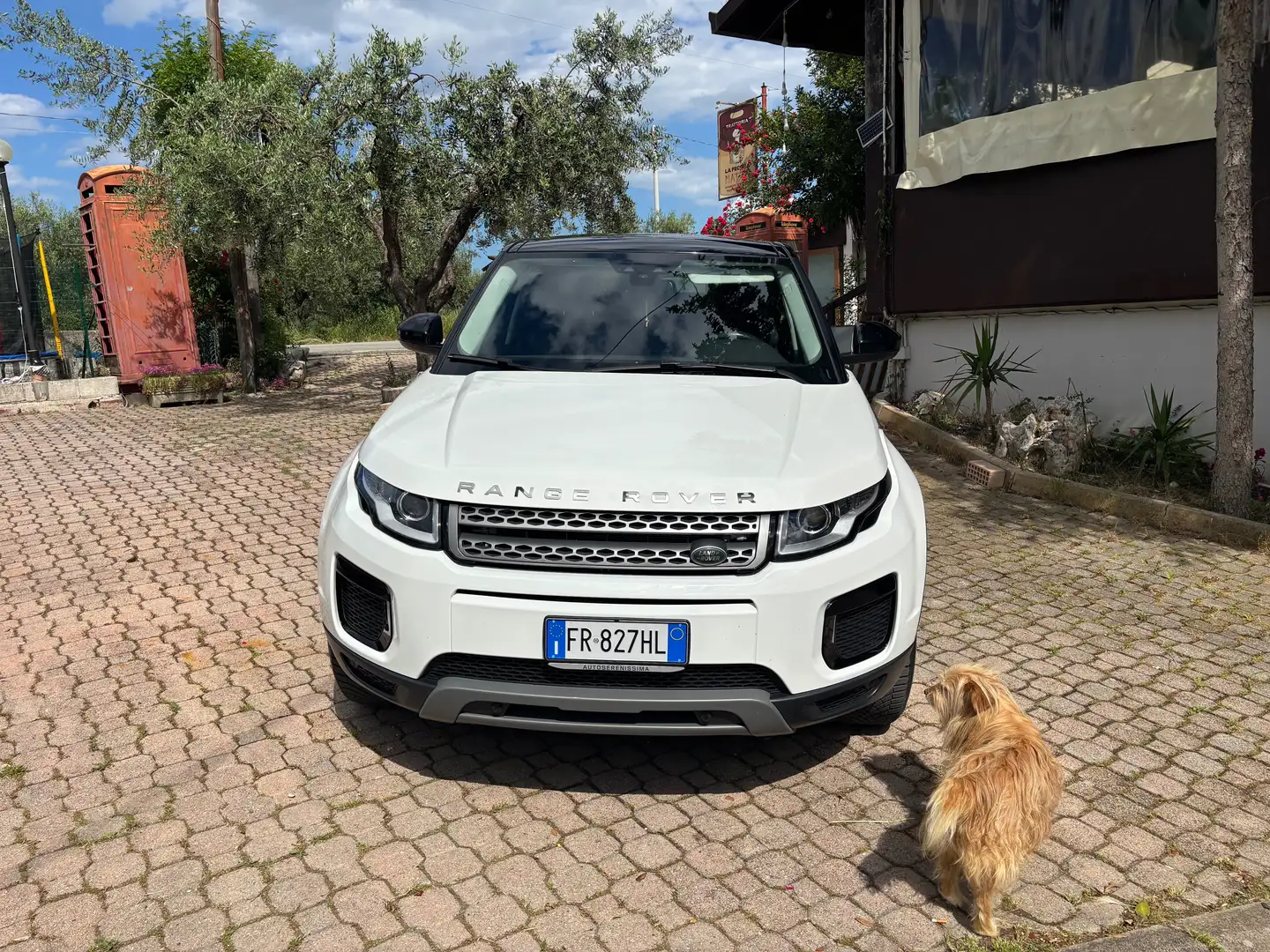 Land Rover Range Rover Evoque Range Rover Evoque Pure Bianco - 2