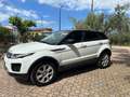 Land Rover Range Rover Evoque Range Rover Evoque Pure Bianco - thumbnail 1