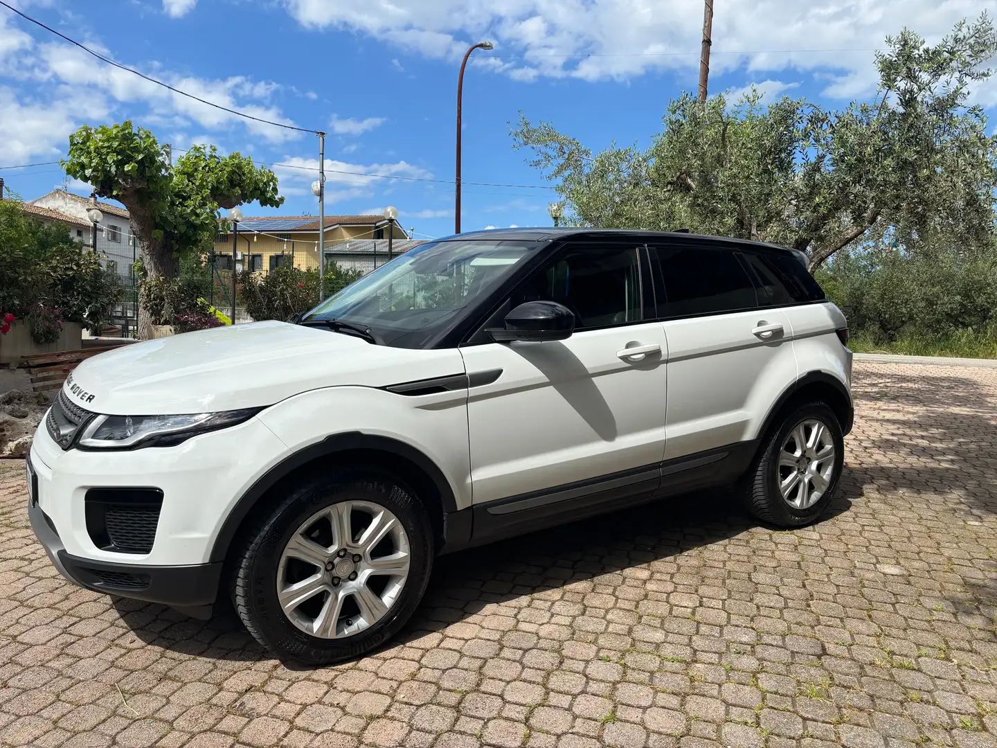 Land Rover Range Rover Evoque Range Rover Evoque Pure Bianco - 1