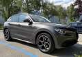 Alfa Romeo Stelvio Veloce 2.2 Q4 Diesel | PANO | AHK | 8 Reifen - thumbnail 7