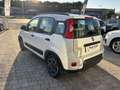 Fiat Panda Panda 1.0 FireFly S&S Hybrid City Life Weiß - thumbnail 6