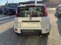 Fiat Panda Panda 1.0 FireFly S&S Hybrid City Life Weiß - thumbnail 5
