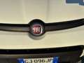 Fiat Panda Panda 1.0 FireFly S&S Hybrid City Life Weiß - thumbnail 18