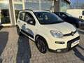 Fiat Panda Panda 1.0 FireFly S&S Hybrid City Life Weiß - thumbnail 3
