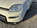 Fiat Panda Panda 1.0 FireFly S&S Hybrid City Life Weiß - thumbnail 19