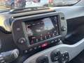 Fiat Panda Panda 1.0 FireFly S&S Hybrid City Life Weiß - thumbnail 34
