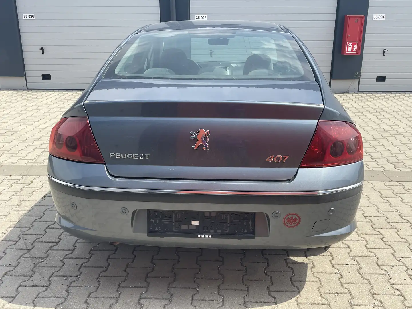 Peugeot 407 Esplanade Grau - 2