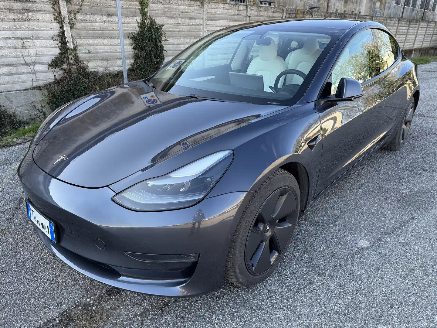 Tesla Model 3 Long Range AWD AB 82 kWh Panasonic Grigio - 1