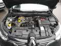 Renault Megane MEGANE Intens TCe100 Schwarz - thumbnail 19