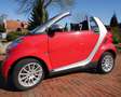 smart forTwo smart fortwo cabrio softouch passion micro hybrid Rot - thumbnail 7