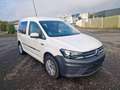 Volkswagen Caddy PKW Trendline 2. Schiebetüren Klima Bianco - thumbnail 2
