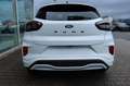 Ford Puma ST-Line 1.0 EcoBoost NEUES MODELL Weiß - thumbnail 9