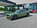 Dodge Challenger 2021´er Challenger RT-Plus Blacktop, unfallfrei Green - thumbnail 4