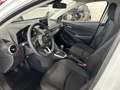 Mazda 2 1.5 e-Skyactiv-g Homura pantalla 8´´ 66kW Blanc - thumbnail 3