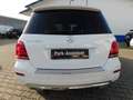 Mercedes-Benz GLK 220 GLK 220 CDI BE+Sport+Chrom-Paket+aktiver Park-Assi Blanc - thumbnail 6