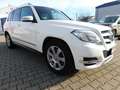 Mercedes-Benz GLK 220 GLK 220 CDI BE+Sport+Chrom-Paket+aktiver Park-Assi Blanc - thumbnail 10