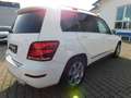 Mercedes-Benz GLK 220 GLK 220 CDI BE+Sport+Chrom-Paket+aktiver Park-Assi Blanc - thumbnail 7